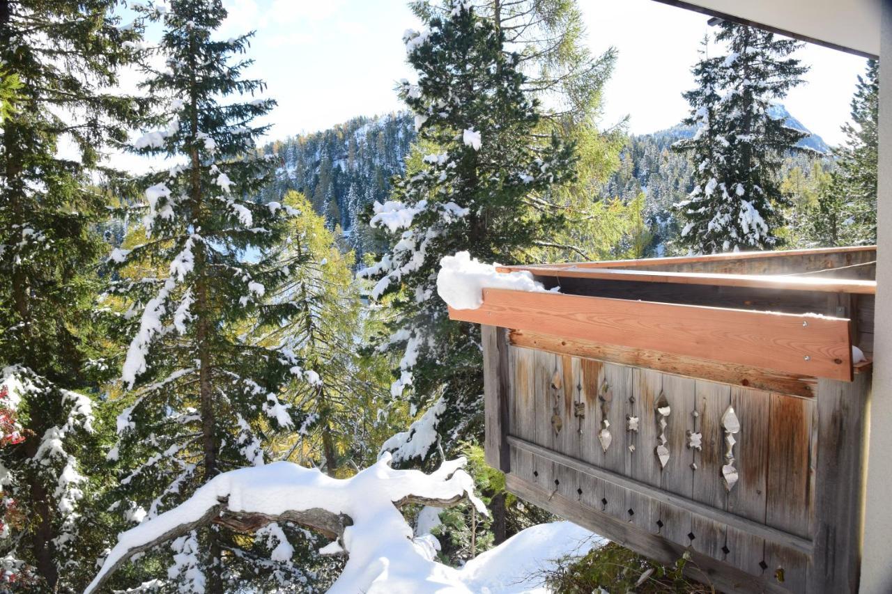 Alpenflair Appartment Mit Aussicht Zum Traeumen Turracher Hohe Dış mekan fotoğraf