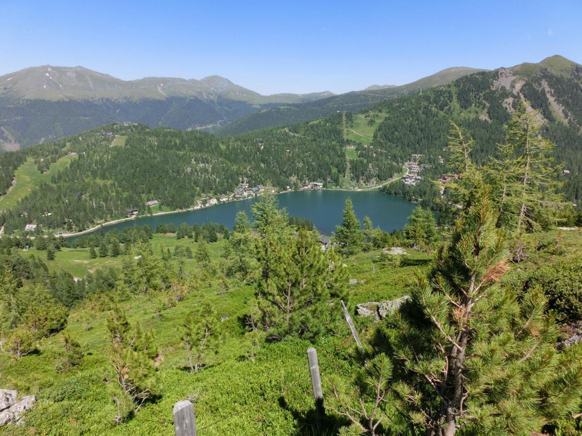 Alpenflair Appartment Mit Aussicht Zum Traeumen Turracher Hohe Dış mekan fotoğraf