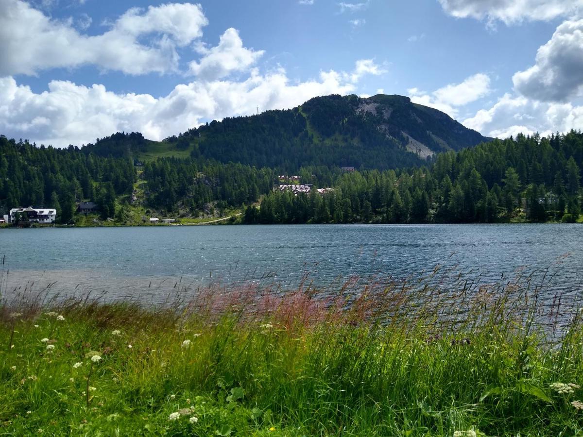 Alpenflair Appartment Mit Aussicht Zum Traeumen Turracher Hohe Dış mekan fotoğraf