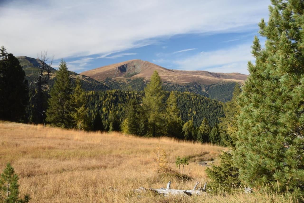 Alpenflair Appartment Mit Aussicht Zum Traeumen Turracher Hohe Dış mekan fotoğraf