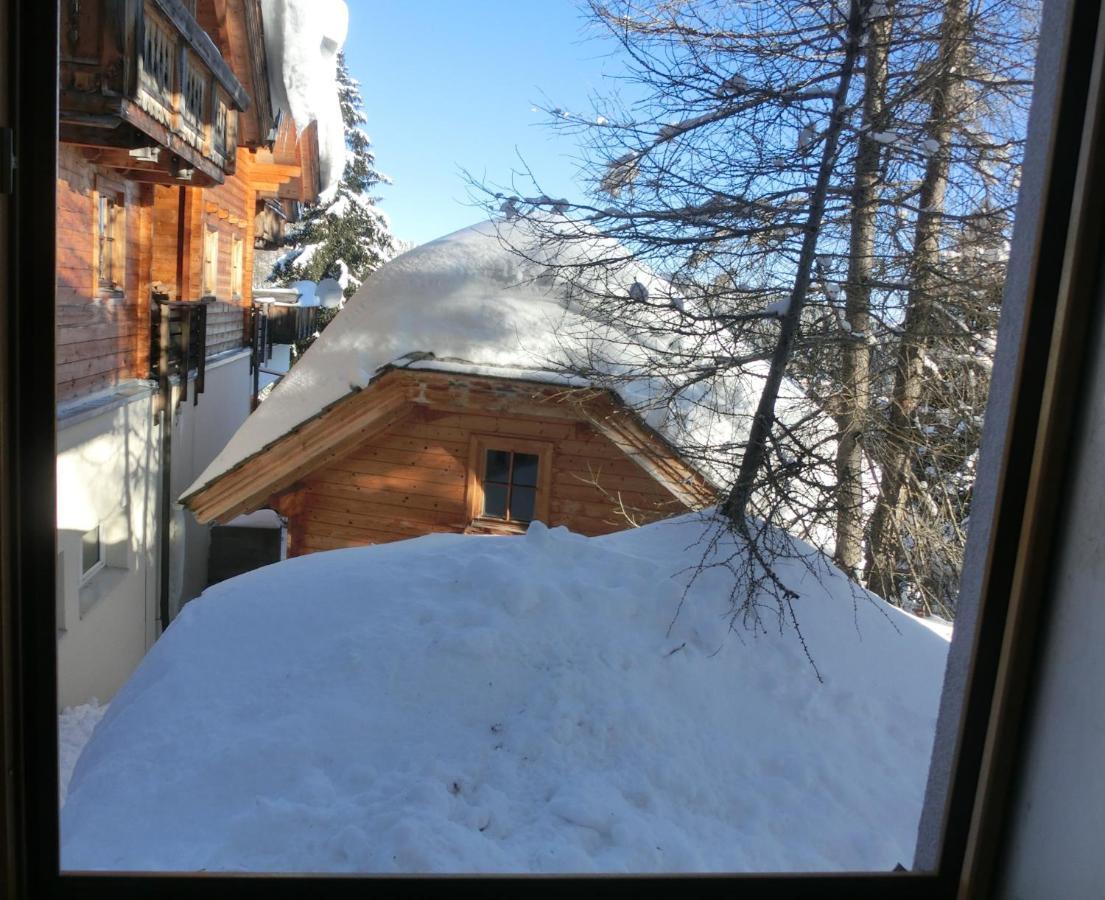 Alpenflair Appartment Mit Aussicht Zum Traeumen Turracher Hohe Dış mekan fotoğraf