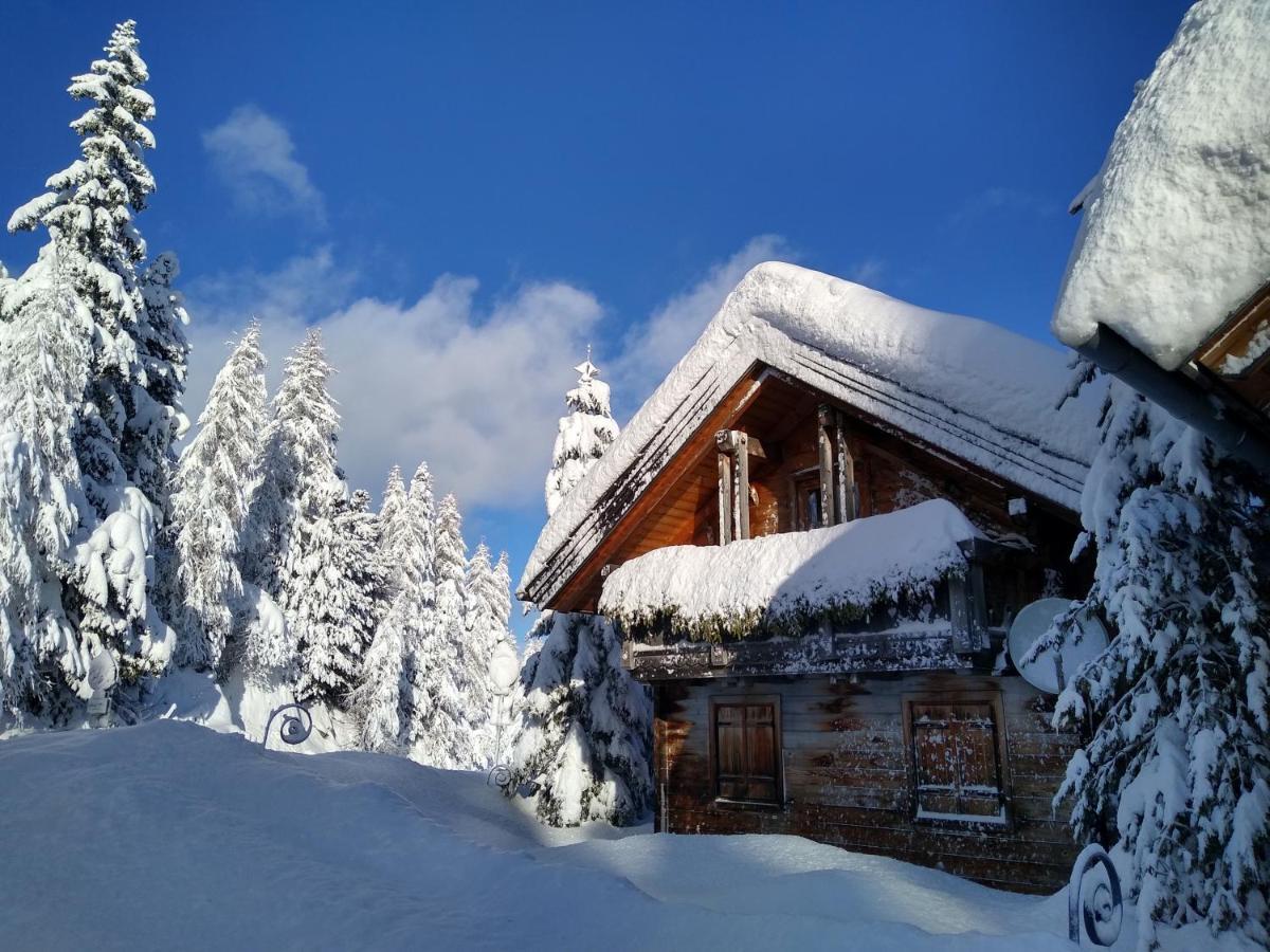 Alpenflair Appartment Mit Aussicht Zum Traeumen Turracher Hohe Dış mekan fotoğraf