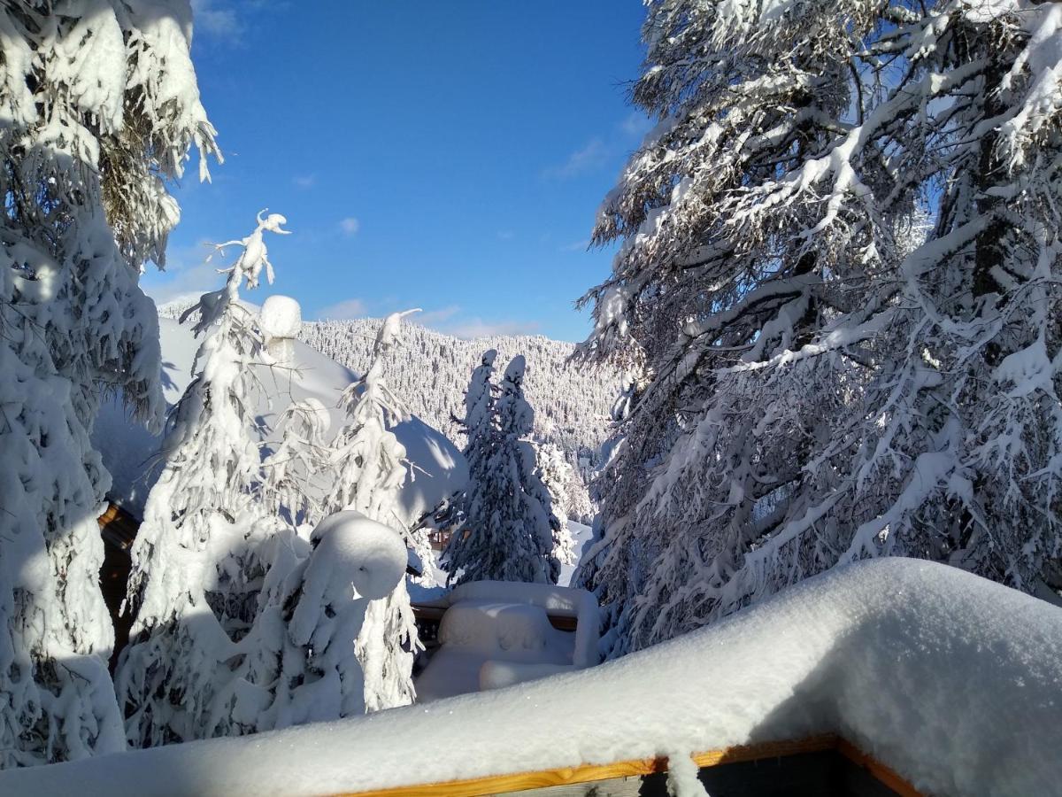 Alpenflair Appartment Mit Aussicht Zum Traeumen Turracher Hohe Dış mekan fotoğraf