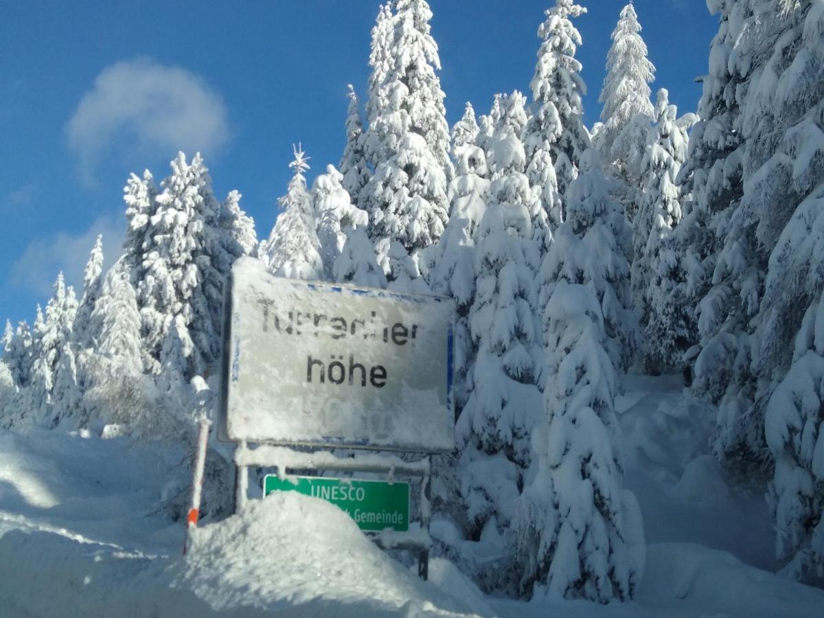 Alpenflair Appartment Mit Aussicht Zum Traeumen Turracher Hohe Dış mekan fotoğraf